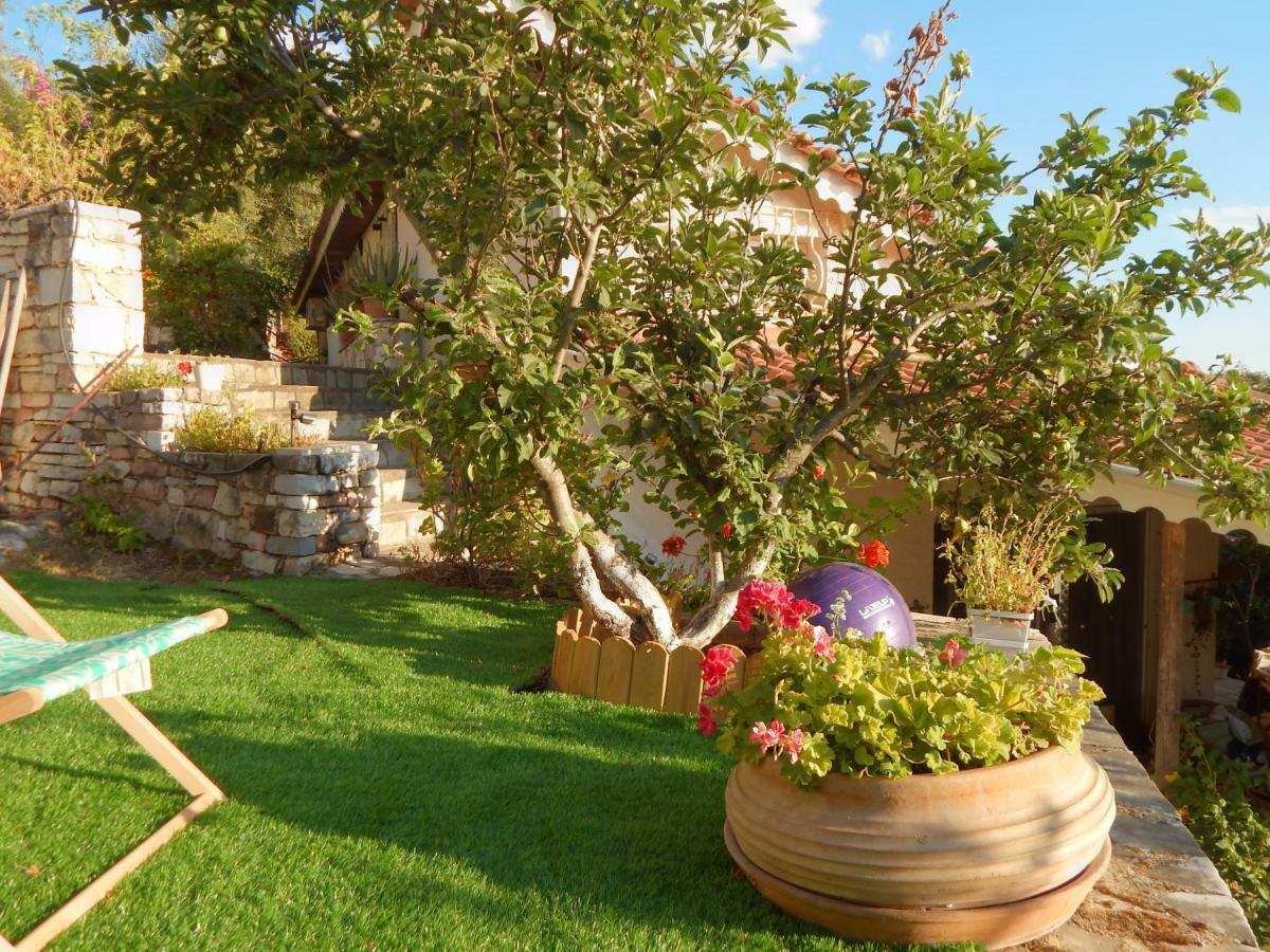 Palmina Mare Villa And Studios Paralia Vrachou Extérieur photo